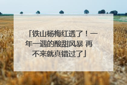铁山杨梅红透了！一年一遇的酸甜风暴 再不来就真错过了