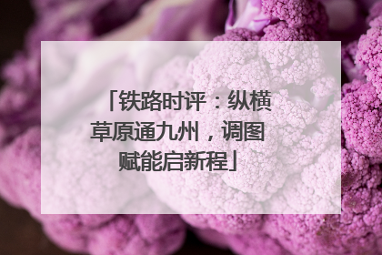 铁路时评：纵横草原通九州，调图赋能启新程