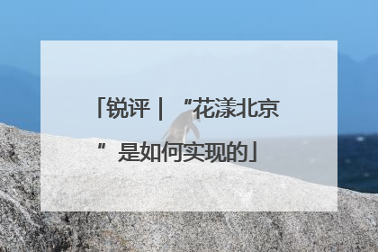 锐评｜“花漾北京”是如何实现的