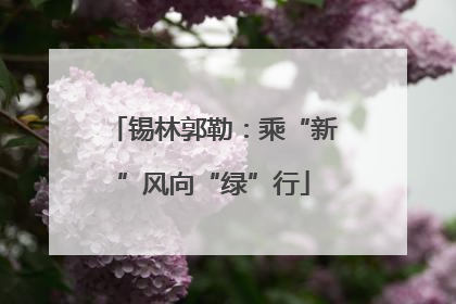 锡林郭勒：乘“新”风向“绿”行