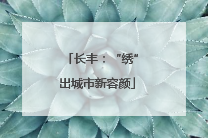 长丰：“绣”出城市新容颜