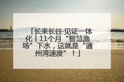 长来长往·见证一体化丨11个月“智慧渔场”下水,这就是“通州湾速度”!