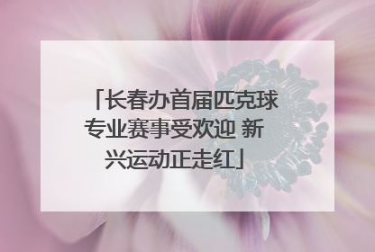 长春办首届匹克球专业赛事受欢迎 新兴运动正走红