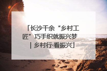 长沙千余“乡村工匠”巧手织就振兴梦｜乡村行·看振兴