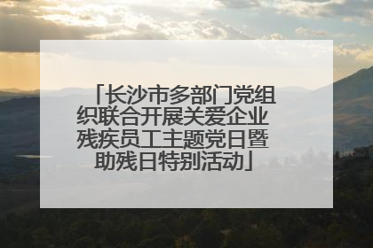 长沙市多部门党组织联合开展关爱企业残疾员工主题党日暨助残日特别活动