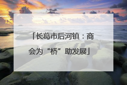 长葛市后河镇：商会为“桥”助发展