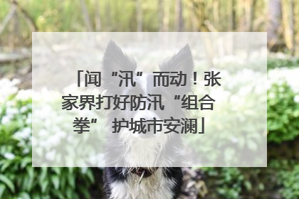 闻“汛”而动！张家界打好防汛“组合拳” 护城市安澜