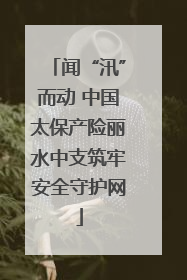 闻“汛”而动 中国太保产险丽水中支筑牢安全守护网