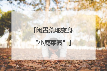闲置荒地变身“小鹿菜园”