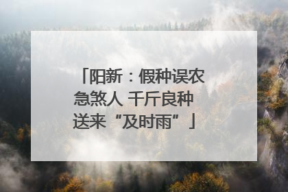 阳新：假种误农急煞人 千斤良种送来“及时雨”