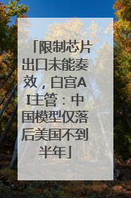 限制芯片出口未能奏效，白宫AI主管：中国模型仅落后美国不到半年