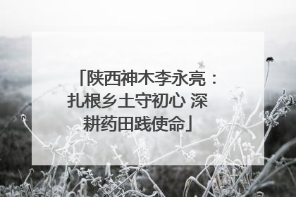 陕西神木李永亮：扎根乡土守初心 深耕药田践使命
