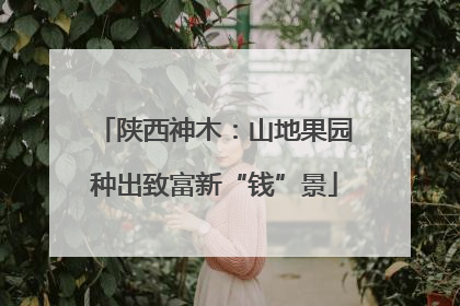 陕西神木：山地果园种出致富新“钱”景