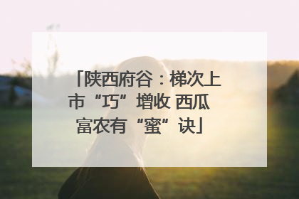 陕西府谷：梯次上市“巧”增收 西瓜富农有“蜜”诀
