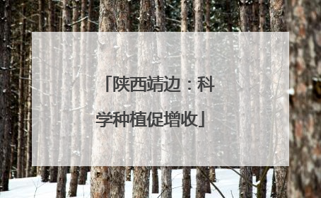 陕西靖边：科学种植促增收