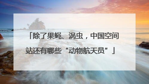 除了果蝇、涡虫，中国空间站还有哪些“动物航天员”