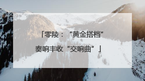 零陵：“黄金搭档”奏响丰收“交响曲”