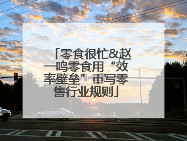 零食很忙&赵一鸣零食用“效率壁垒”重写零售行业规则