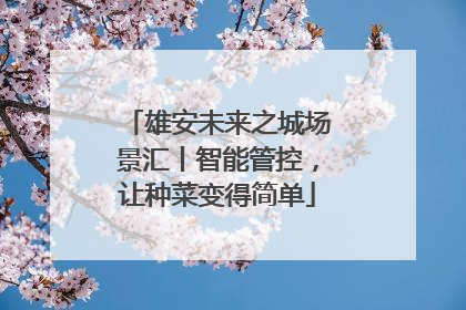 雄安未来之城场景汇丨智能管控，让种菜变得简单