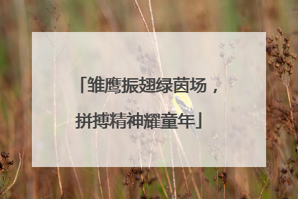 雏鹰振翅绿茵场，拼搏精神耀童年