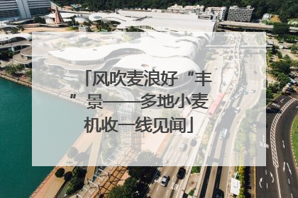 风吹麦浪好“丰”景——多地小麦机收一线见闻