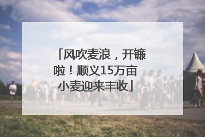 风吹麦浪，开镰啦！顺义15万亩小麦迎来丰收