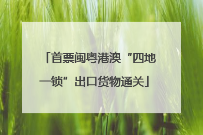 首票闽粤港澳“四地一锁”出口货物通关