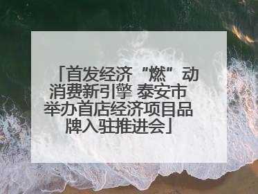 首发经济“燃”动消费新引擎 泰安市举办首店经济项目品牌入驻推进会