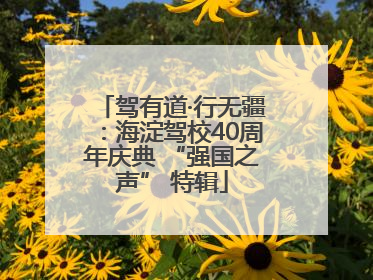 驾有道·行无疆：海淀驾校40周年庆典 “强国之声” 特辑