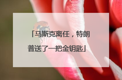 马斯克离任，特朗普送了一把金钥匙