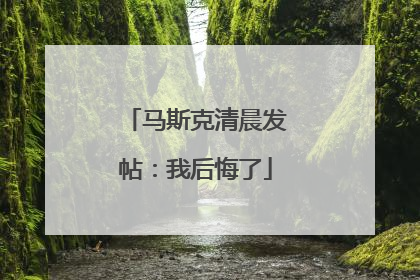 马斯克清晨发帖：我后悔了
