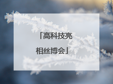 高科技亮相丝博会