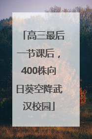 高三最后一节课后，400株向日葵空降武汉校园