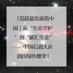 高质量发展看中国｜从“生态守护”到“碳汇生金”——中国石油大庆油田绿色蝶变