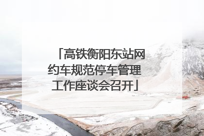 高铁衡阳东站网约车规范停车管理工作座谈会召开