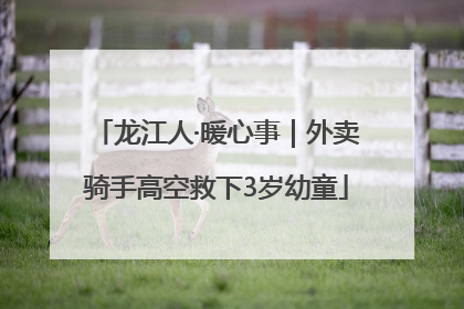 龙江人·暖心事｜外卖骑手高空救下3岁幼童