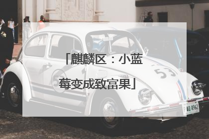 麒麟区：小蓝莓变成致富果