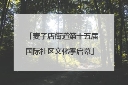 麦子店街道第十五届国际社区文化季启幕