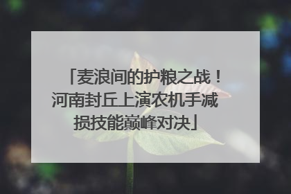 麦浪间的护粮之战！河南封丘上演农机手减损技能巅峰对决