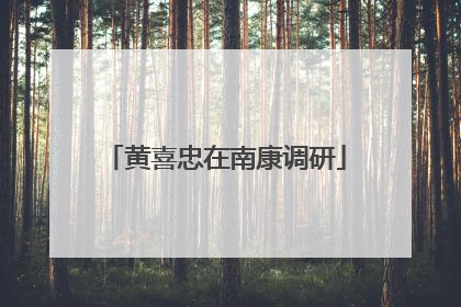 黄喜忠在南康调研