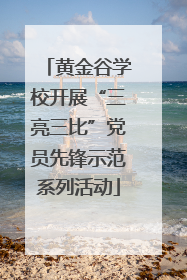 黄金谷学校开展“三亮三比”党员先锋示范系列活动