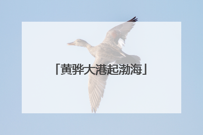 黄骅大港起渤海