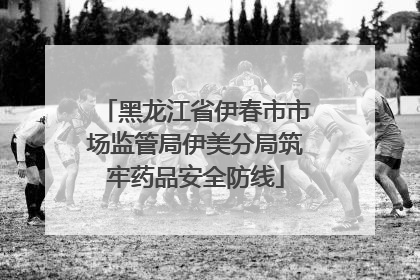 黑龙江省伊春市市场监管局伊美分局筑牢药品安全防线