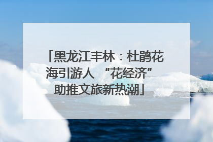 黑龙江丰林：杜鹃花海引游人 “花经济”助推文旅新热潮