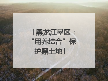 黑龙江垦区：“用养结合”保护黑土地