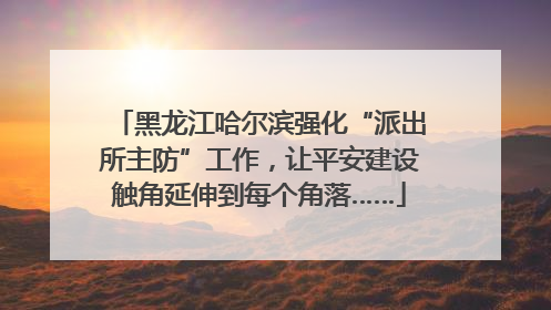 黑龙江哈尔滨强化“派出所主防”工作，让平安建设触角延伸到每个角落……