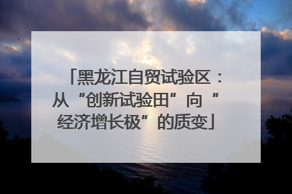 黑龙江自贸试验区：从“创新试验田”向“经济增长极”的质变