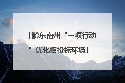 黔东南州“三项行动”优化招投标环境