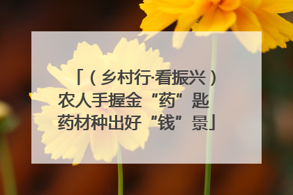 （乡村行·看振兴）农人手握金“药”匙 药材种出好“钱”景
