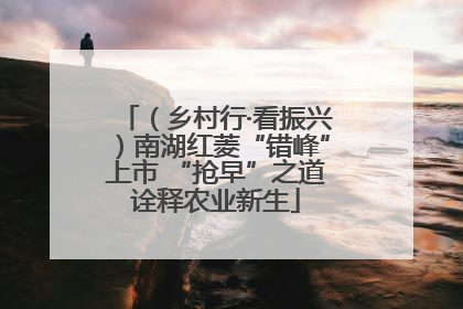 （乡村行·看振兴）南湖红菱“错峰”上市 “抢早”之道诠释农业新生